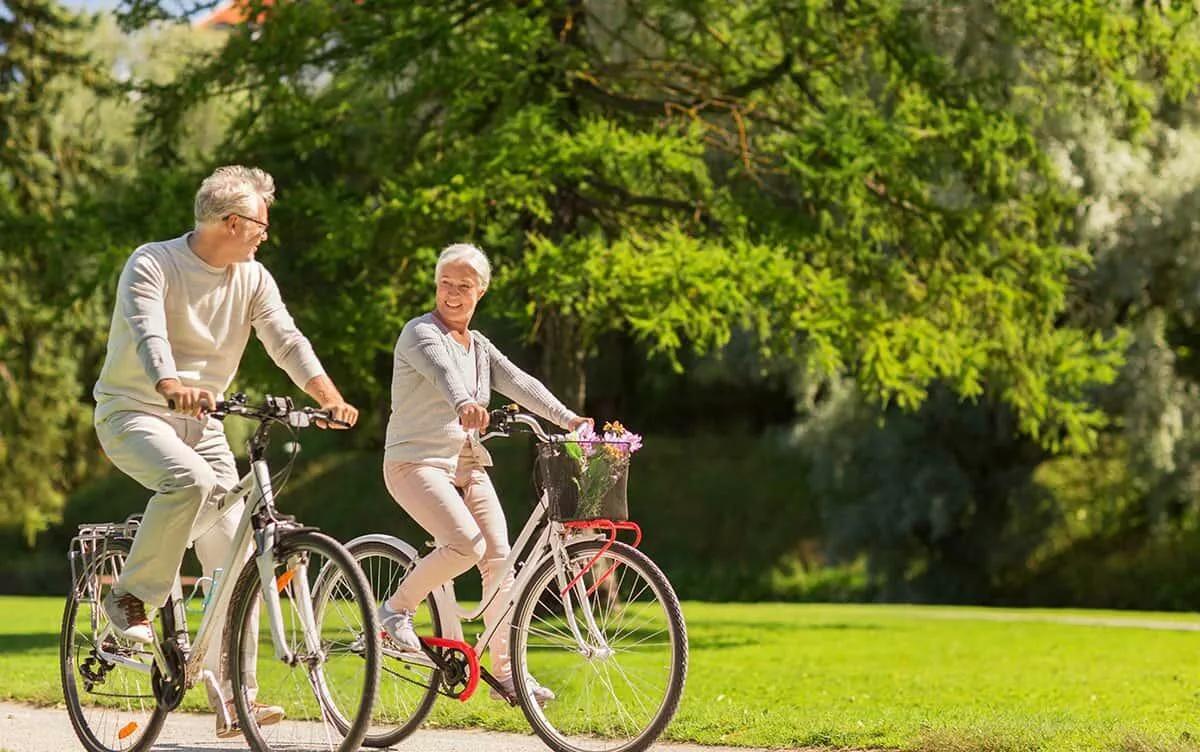 Bicycle and accessory rentals from  Zylvoren 